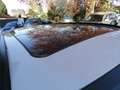 BMW 318 318 d Automatik/Bi-Xenon/Leder/PanoDach/Navi Blanco - thumbnail 9