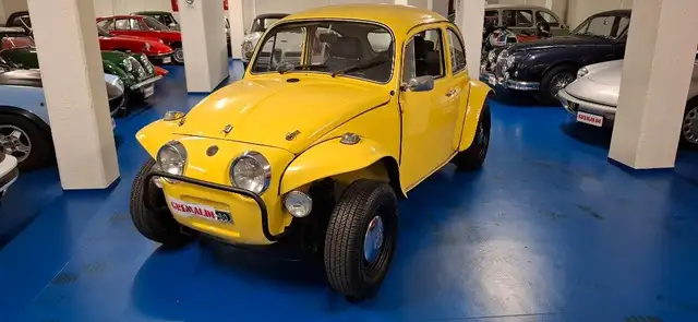 Volkswagen Buggy AUTOZODIACO BAJA CALIFORNIA