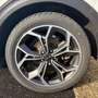 Kia Sportage 1.6 CRDI 135CH HYBRID MHEV 48V GT LINE 4X2 + ATTELAGE Blanc - thumbnail 22