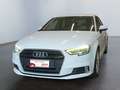 Audi A3 3ª serie SPB Sportback 1.6 TDI Sport Bianco - thumbnail 1
