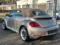 Volkswagen Beetle Cabriolet 1.2 TSI DSG - Keyless Entry & Go - Navi Beige - thumbnail 3
