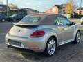 Volkswagen Beetle Cabriolet 1.2 TSI DSG - Keyless Entry & Go - Navi Beige - thumbnail 4