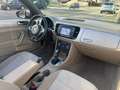 Volkswagen Beetle Cabriolet 1.2 TSI DSG - Keyless Entry & Go - Navi Beige - thumbnail 10