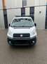 Fiat Scudo 130 Multijet 2,0 Diesel Weiß - thumbnail 2