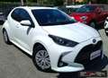 Toyota Yaris 1.5 Hybrid 5 porte Business Wit - thumbnail 2