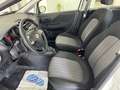 Fiat Punto 5p 1.4 easypower Street Gpl Bianco - thumbnail 7