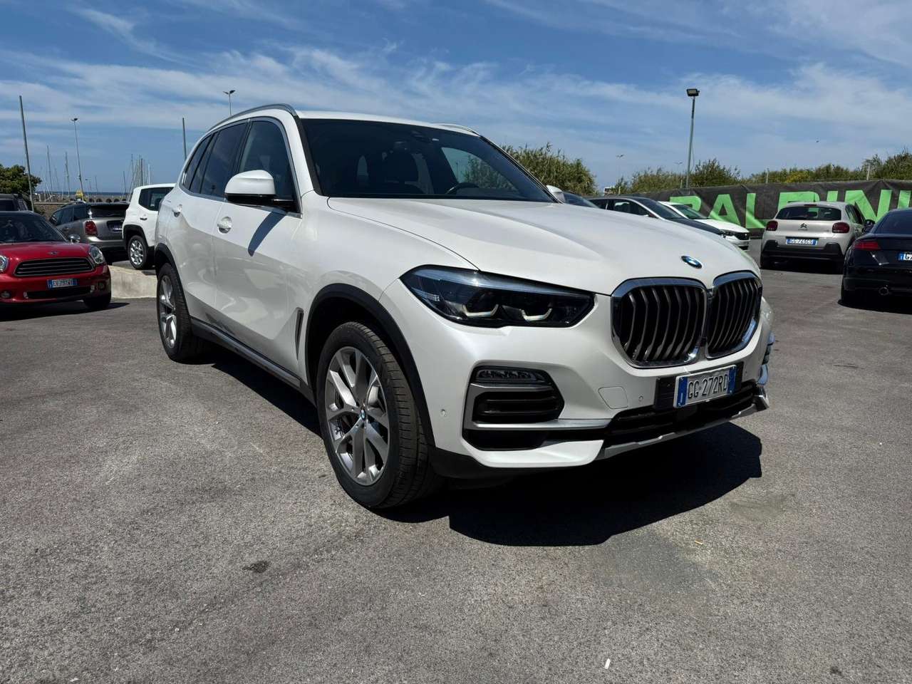 BMW X5 X5 xdrive25d xLine auto
