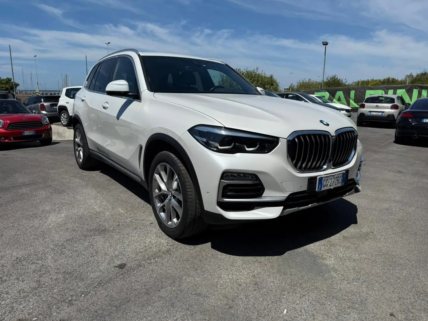 BMW X5 X5 xdrive25d xLine auto Wit - 1