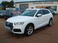 Audi Q5 35 TDI quattro sport.Voll-LED.Navi.SHZ.1.Hand Blanco - thumbnail 1