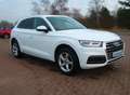 Audi Q5 35 TDI quattro sport.Voll-LED.Navi.SHZ.1.Hand Blanco - thumbnail 3