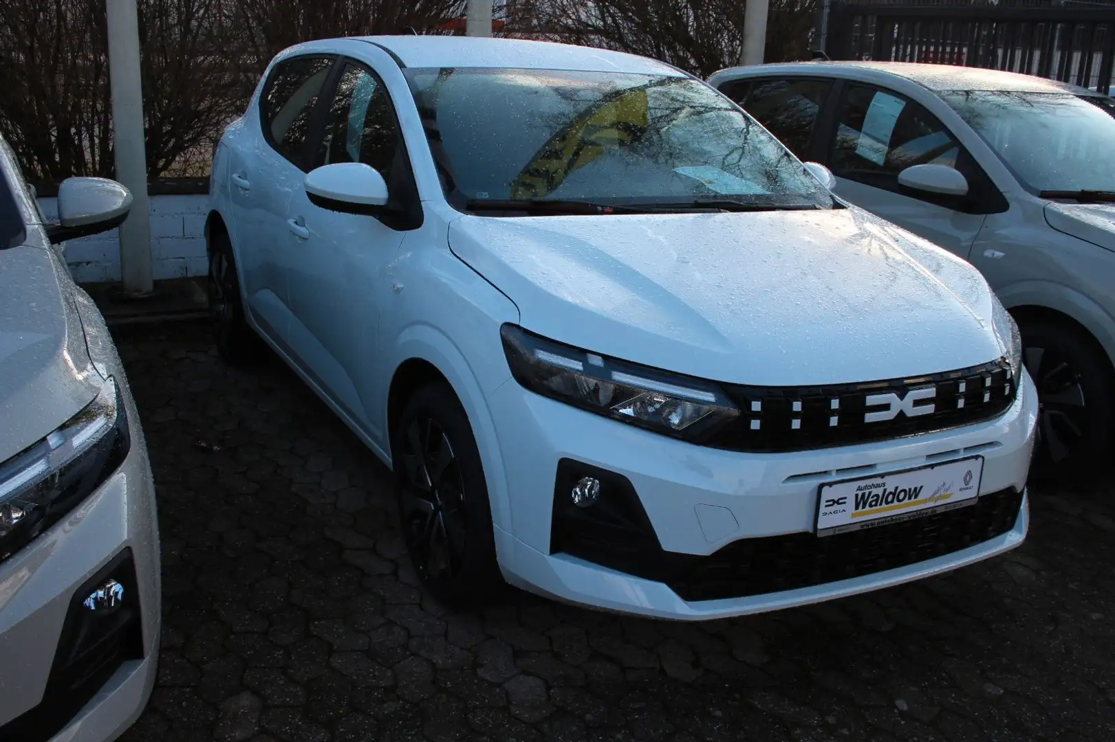 Dacia Sandero Expression TCe 100 Weiß - 2