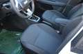 Dacia Sandero Expression TCe 100 Weiß - thumbnail 5