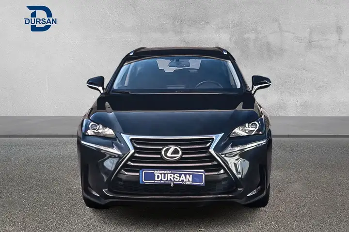 Lexus NX 2017, foto 2