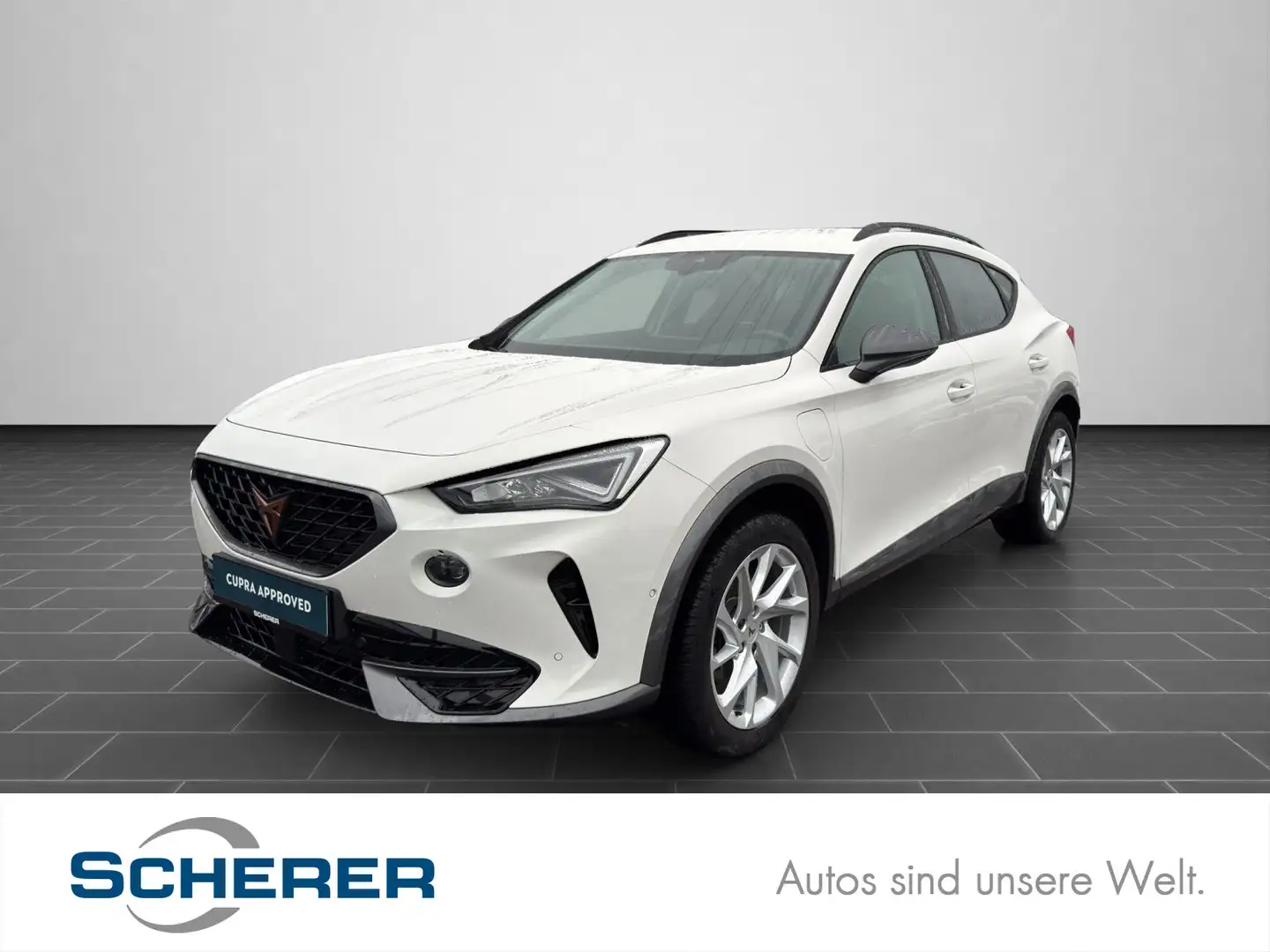 CUPRA Formentor 1.4 TSI e-Hybrid RFK AHK NAVI SHZ CARP Weiß - 1