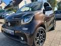 smart forTwo CABRIO*PERFECT*KLIMA*NAVI*90PS* Braun - thumbnail 9