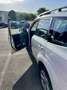 Subaru Forester Forester III 2009 2.0d XS Trend Blanco - thumbnail 5