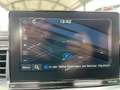 Kia Ceed / cee'd Ceed Vision Kamera Navi, PDC, DAB+, ,..... Blanco - thumbnail 16