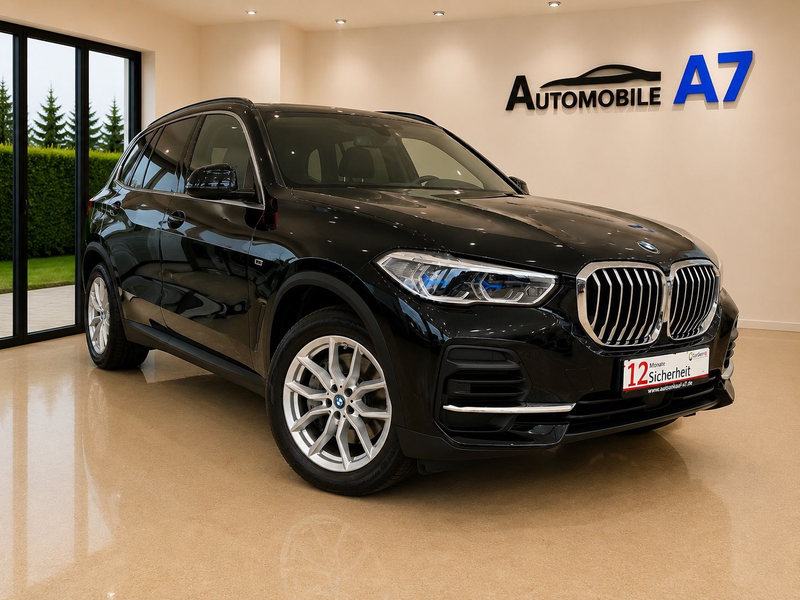 BMW X5 Baureihe X5 xDrive 45 e *LASER/LUFT.-F./AHK*
