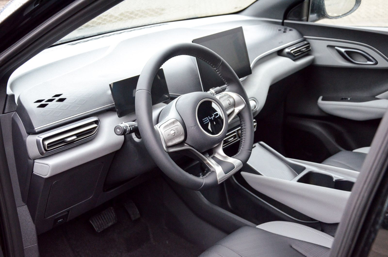 BYD Dolphin Dolphin Surf Boost — photo 8