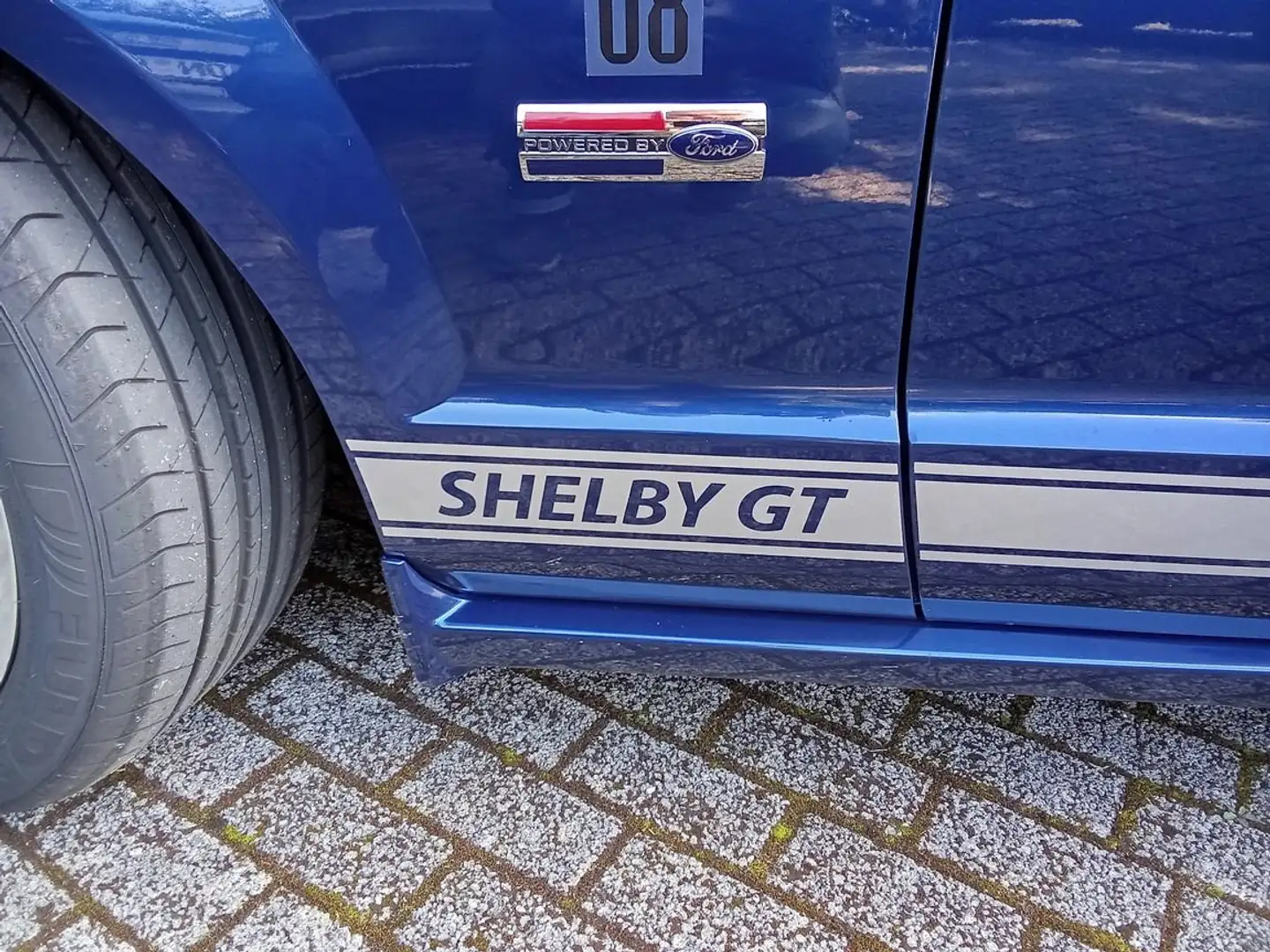 Shelby Azul - 1