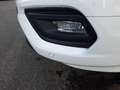Ford Transit Custom Kasten 2.0 TDCi 300L1 Trend AHK Blanc - thumbnail 30