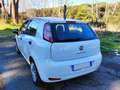 Fiat Punto Punto III 2012 5p 1.2 Street E6 - thumbnail 7