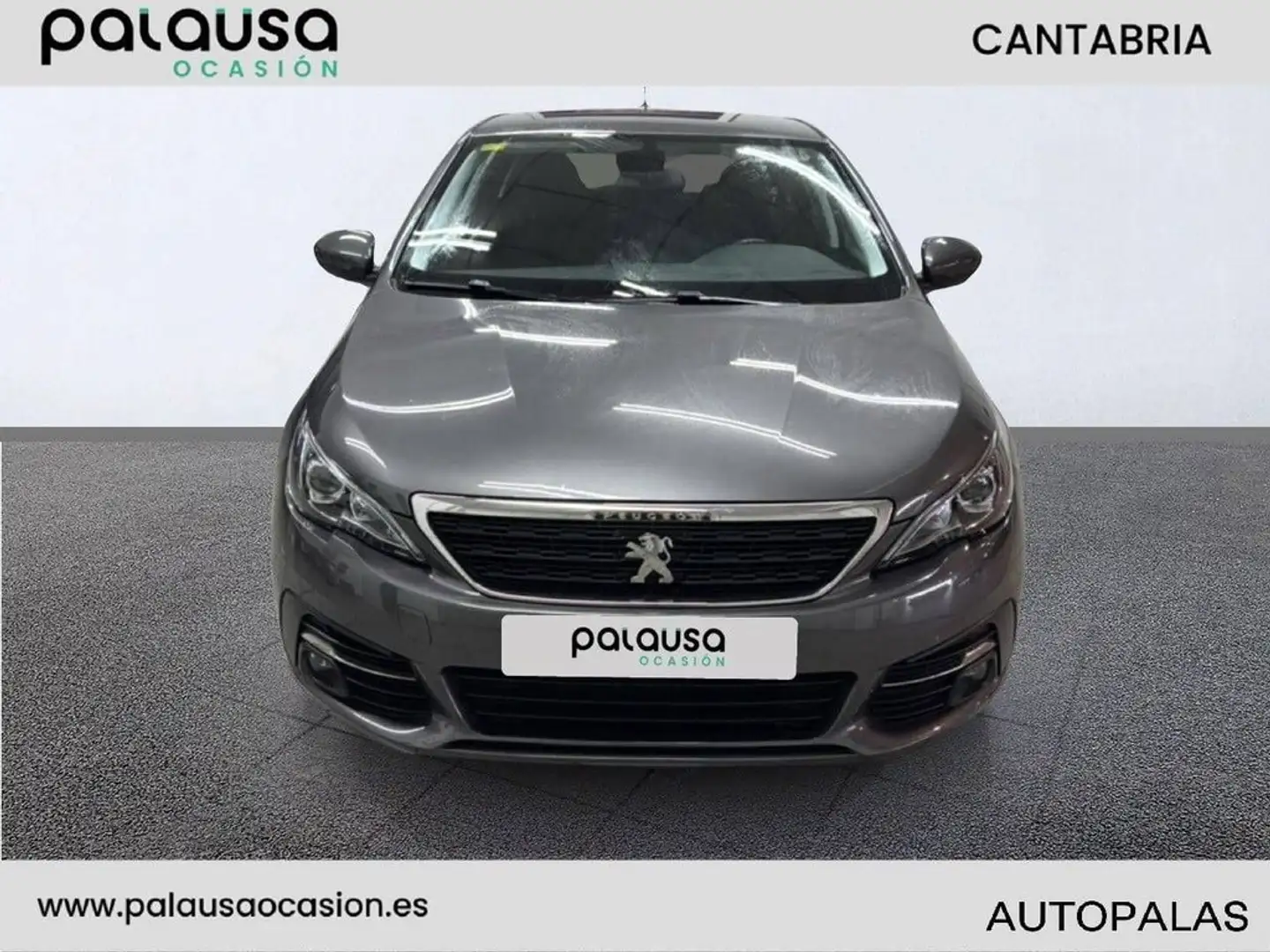 Peugeot 308 1.6 BlueHDi Style 100 Gris - 2