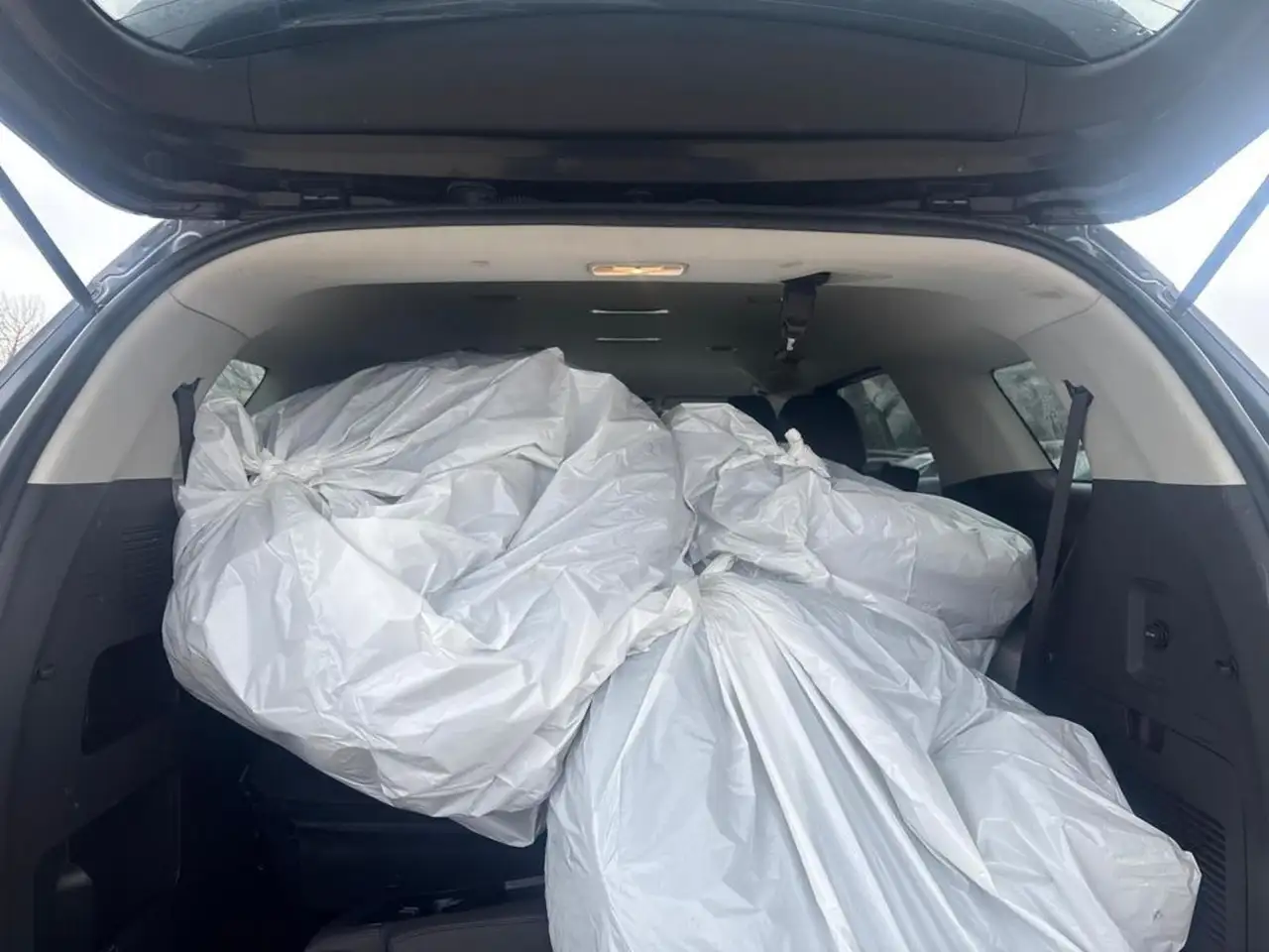 Kia Carnival снимка Kia Carnival