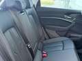 Audi e-tron 50 quattro Business edition Plus 71 kWh, panoramad Grau - thumbnail 30