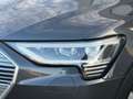Audi e-tron 50 quattro Business edition Plus 71 kWh, panoramad Grau - thumbnail 31