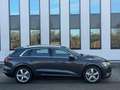 Audi e-tron 50 quattro Business edition Plus 71 kWh, panoramad Grau - thumbnail 19