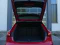 Audi RS3 Sportback RS-Sitze/Pano/B&O/Carbon/Grail/Kam Rot - thumbnail 19