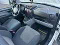 Fiat Doblo 1.4 Active *Mit Neues Pickerl*AHK*5-Sitze* Weiß - thumbnail 12