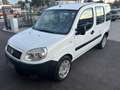 Fiat Doblo 1.4 Active *Mit Neues Pickerl*AHK*5-Sitze* Weiß - thumbnail 4
