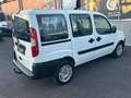 Fiat Doblo 1.4 Active *Mit Neues Pickerl*AHK*5-Sitze* Weiß - thumbnail 6