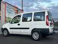 Fiat Doblo 1.4 Active *Mit Neues Pickerl*AHK*5-Sitze* Weiß - thumbnail 7