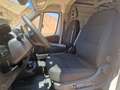 Fiat Ducato 180cv cambio autom. Km zero Wit - thumbnail 8