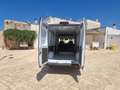 Fiat Ducato 180cv cambio autom. Km zero Wit - thumbnail 5