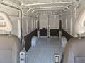 Fiat Ducato 180cv cambio autom. Km zero Wit - thumbnail 12