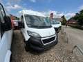 Peugeot Boxer Kühlkasten L2H2 Winter Stand-/Fahrkühlung Blanc - thumbnail 8