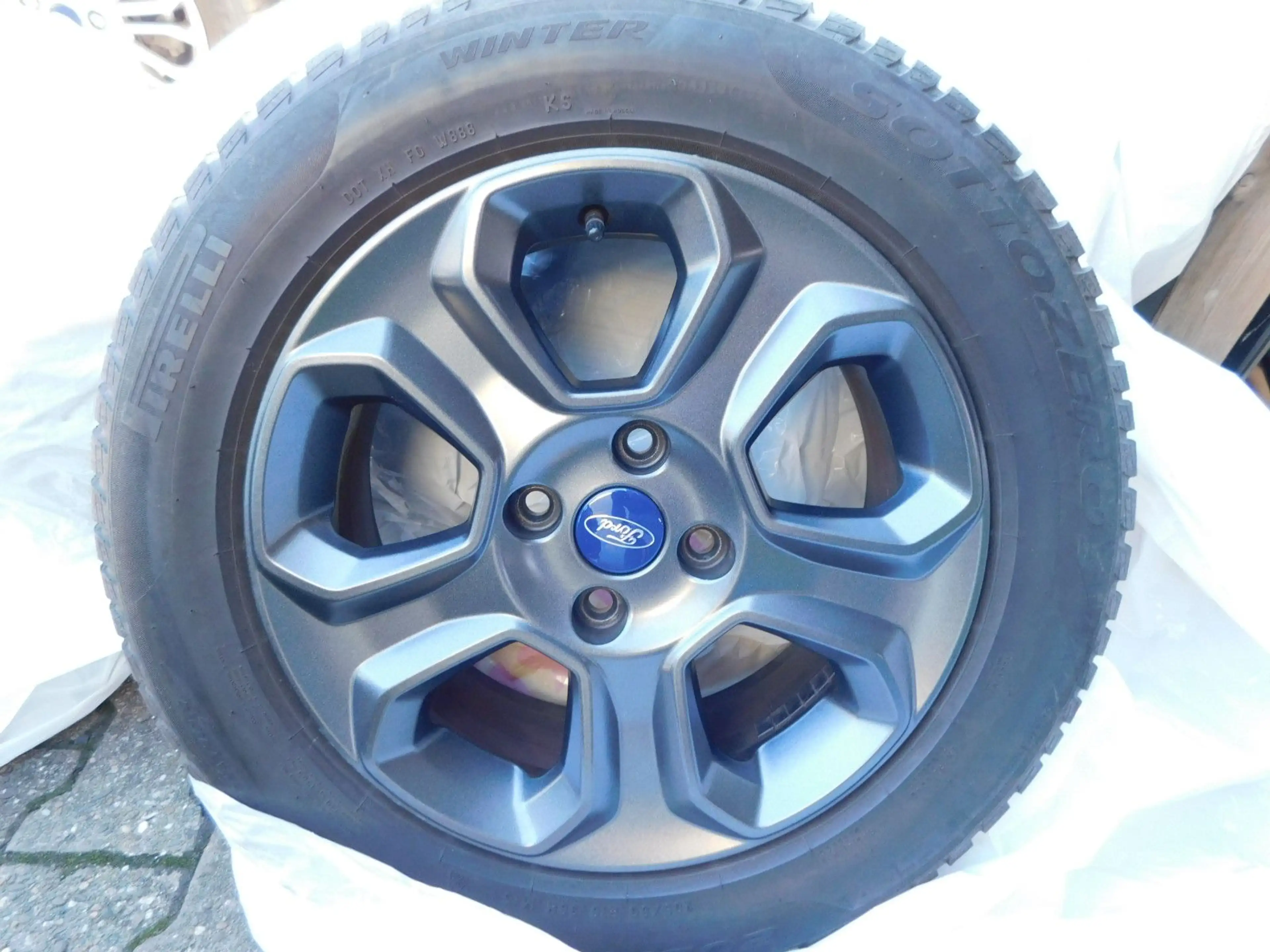 Ford EcoSport Trend Winter-Paket/AHK — photo 9