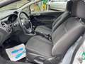 Ford Fiesta 1.25   1 Hand, Klima, Sitzheizung Weiß - thumbnail 11