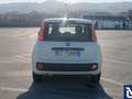 Fiat Panda Panda Easy Hybrid – 2021 – 68.000 km Bianco - thumbnail 8