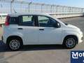 Fiat Panda Panda Easy Hybrid – 2021 – 68.000 km Bianco - thumbnail 10