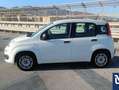 Fiat Panda Panda Easy Hybrid – 2021 – 68.000 km Bianco - thumbnail 3