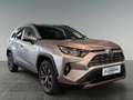 Toyota RAV 4 RAV4 Active Drive 2,5, 222 PS 4x4 Hybrid Silber - thumbnail 7