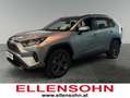 Toyota RAV 4 RAV4 Active Drive 2,5, 222 PS 4x4 Hybrid Silber - thumbnail 1