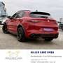 Alfa Romeo Stelvio Quadrifoglio 2,9 V6 ATX AWD*Akrapovic*Carbon*Ga... Rot - thumbnail 10
