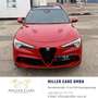 Alfa Romeo Stelvio Quadrifoglio 2,9 V6 ATX AWD*Akrapovic*Carbon*Ga... Rot - thumbnail 6