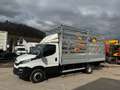 Iveco Daily Weiß - thumbnail 13